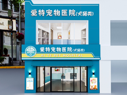 合肥政务区医院室内改造项目